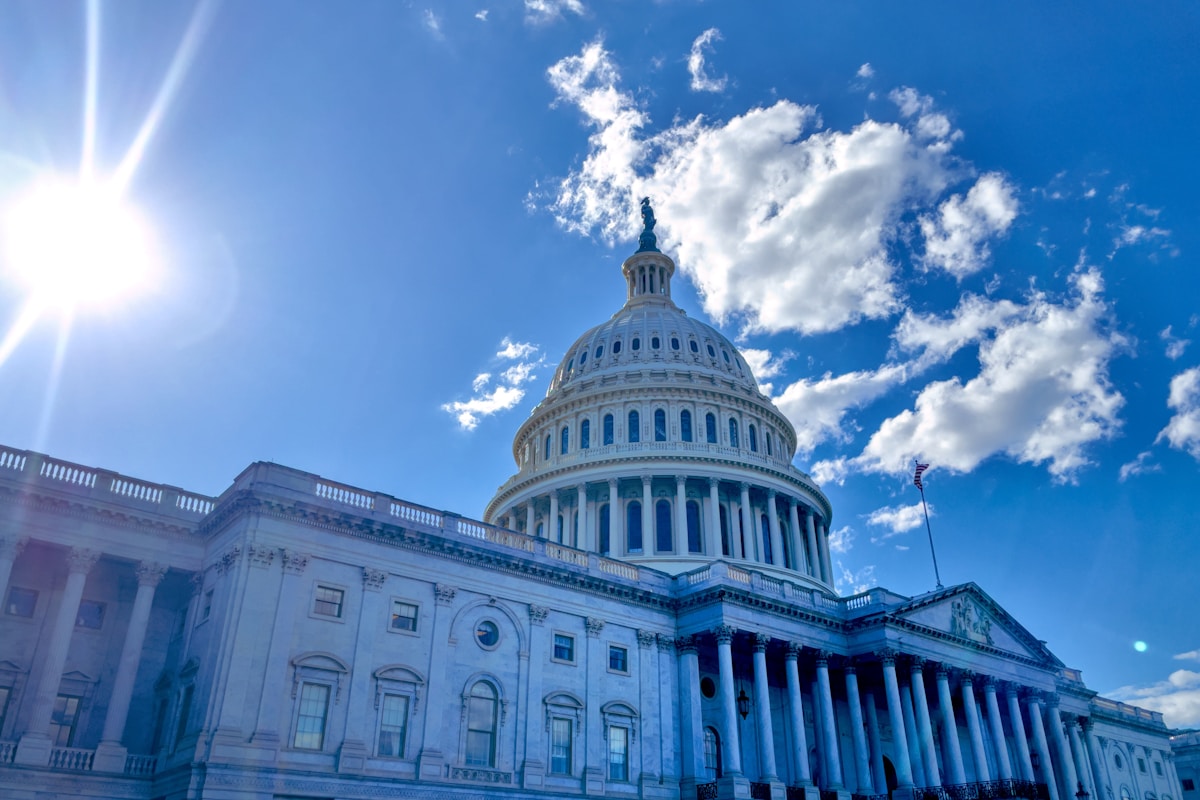 Tailored IT Solutions for Government
